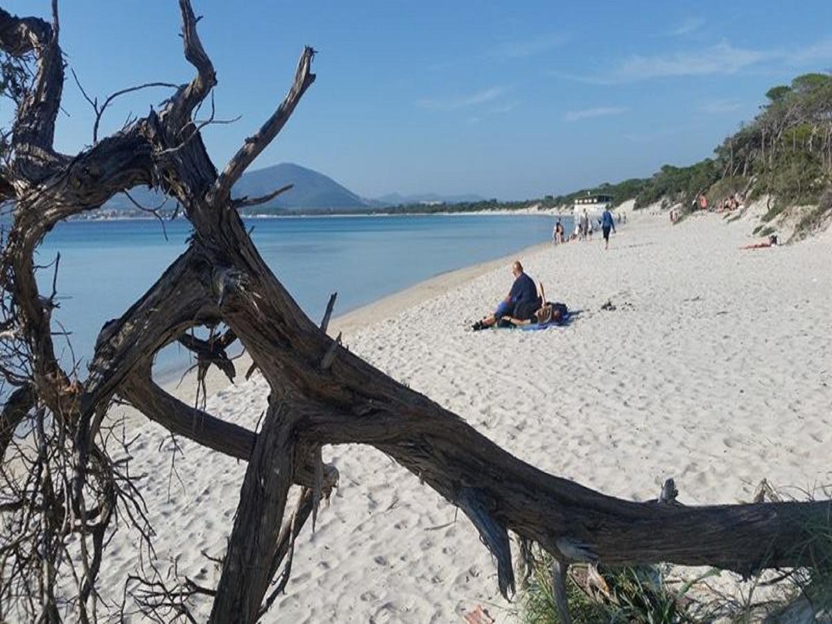 Alma di Alghero Apartments Dış mekan fotoğraf